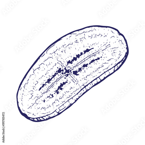 Grunge texture Sketch of a loaf of bread with a dark blue outline and shading on a white background Vintage Style