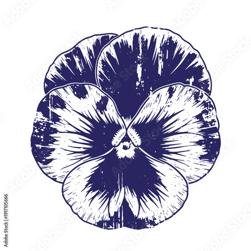 Grunge texture Vibrant purple pansy flower illustration with white accents and distressed texture on clean white background Vintage Style