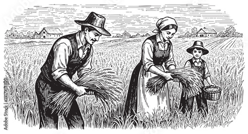 Farmer harvesting crop in field with basket on back, traditional agriculture labor sketch vector illustration