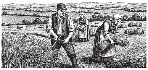 Farmer harvesting crops engraving, traditional agriculture etching