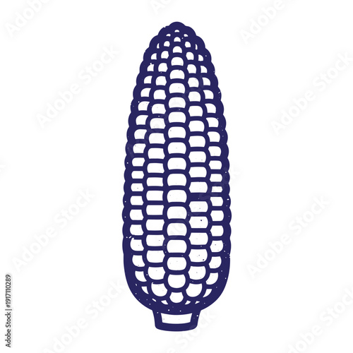 Grunge texture navy blue illustration of an ear of corn on white background Vintage Style