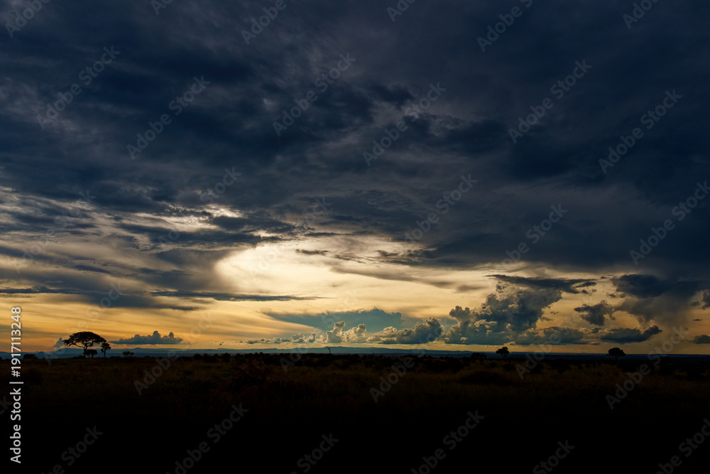 Obraz premium Dramatic storm clouds over savanna at sunset in Murchison Falls National Park, Uganda, wide African landscape with golden horizon, silhouettes of trees and vast wilderness under moody sky