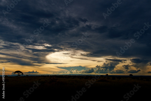 Wallpaper Mural Dramatic storm clouds over savanna at sunset in Murchison Falls National Park, Uganda, wide African landscape with golden horizon, silhouettes of trees and vast wilderness under moody sky Torontodigital.ca