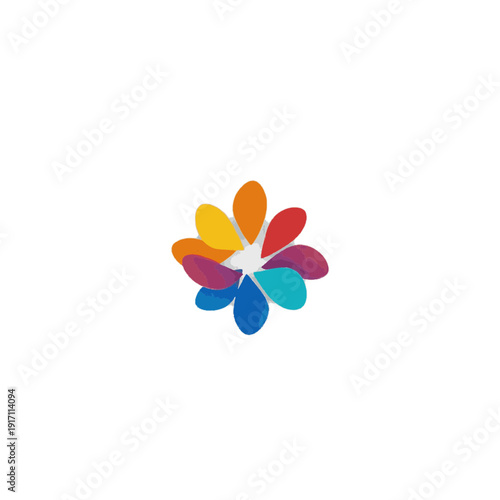 colorful flower isolated on white background