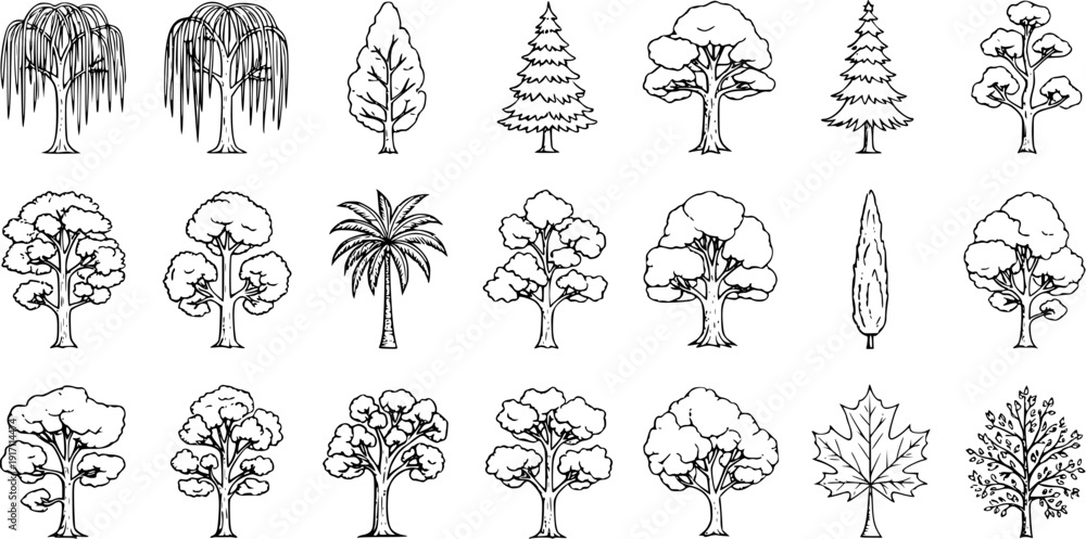 Fototapeta premium Set of Hand-Drawn Tree Illustrations. Diverse collection of various tree types including deciduous, coniferous, palm, and weeping willow sketches. Nature clip art pack.