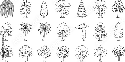 Hand Drawn Outline Trees Set. Diverse Collection of Sketch Style Tree Species: Deciduous, Coniferous, Palm, Willow, Maple, Oak, Pine, and more. Nature  Environment Vector Illustrations.