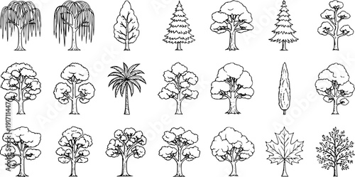 Set of Hand-Drawn Tree Illustrations. Diverse collection of various tree types including deciduous, coniferous, palm, and weeping willow sketches. Nature clip art pack.