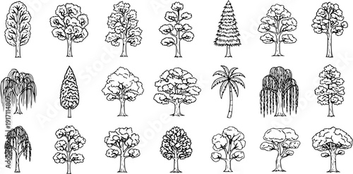 Diverse Hand-Drawn Tree Vector Set: Outline Sketches of Various Tree Types including Deciduous, Coniferous, Willow, and Palm for Nature, Forest, Park, and Garden Design Elements