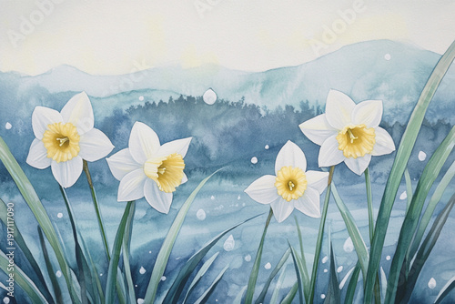 Tender daffodils on a soft wash of very pale grey-blue background. A cool, serene spring morning scene.