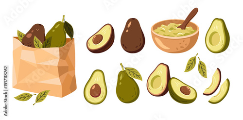 Vector illustration set of avocado halves, slices, leaves and bowl of guacamole. Paper bag with whole fruit isolated on white background. Brown hass and green fuerte avocado.