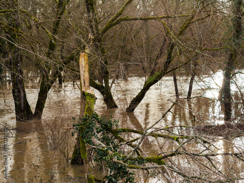 Fotografía Crue de la rivière La Midouze, à proximité de Mont-de-Marsan, suite à la tempête