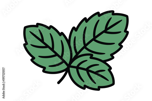 Three serrated green leaves cluster together on a single small stem.