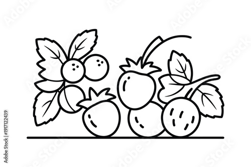 Simple line art drawing displays mixed fresh berries and leafy strawberry.