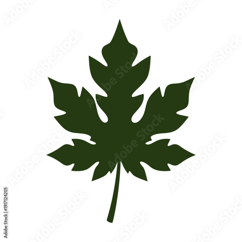 Dark green papaya leaf vector illustration isolated on transparent background.