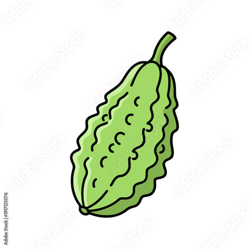 Green bitter melon vegetable vector illustration for healthy herbal food icon.
