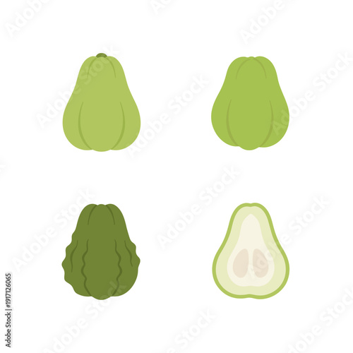 Set of green chayote squash vegetable vector illustration for fresh food icon.