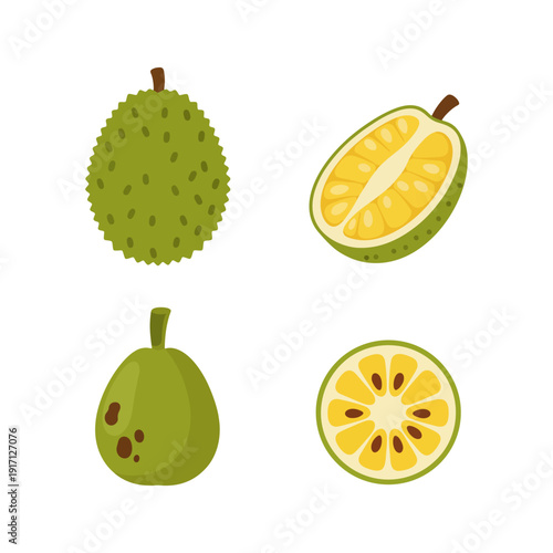 Whole and sliced jackfruit vector illustration for tropical fruit design element.