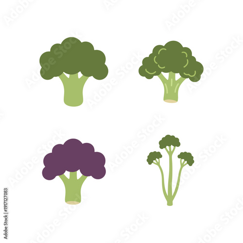Set of green broccoli and purple cauliflower vector illustration for vegetable icon.