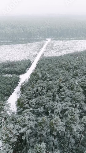 Vertical aerial shot of a drone flying backward over a winter pine forest and a snow-covered road in the Barycz Valley region