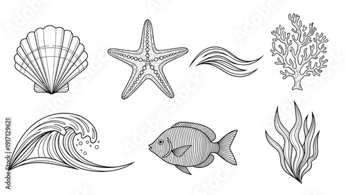 Black and white sea creatures and ocean elements illustrations