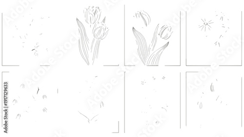 Black and white illustration of various flowers and leaves