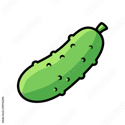 Green cucumber vegetable vector illustration for salad and fresh food icon.