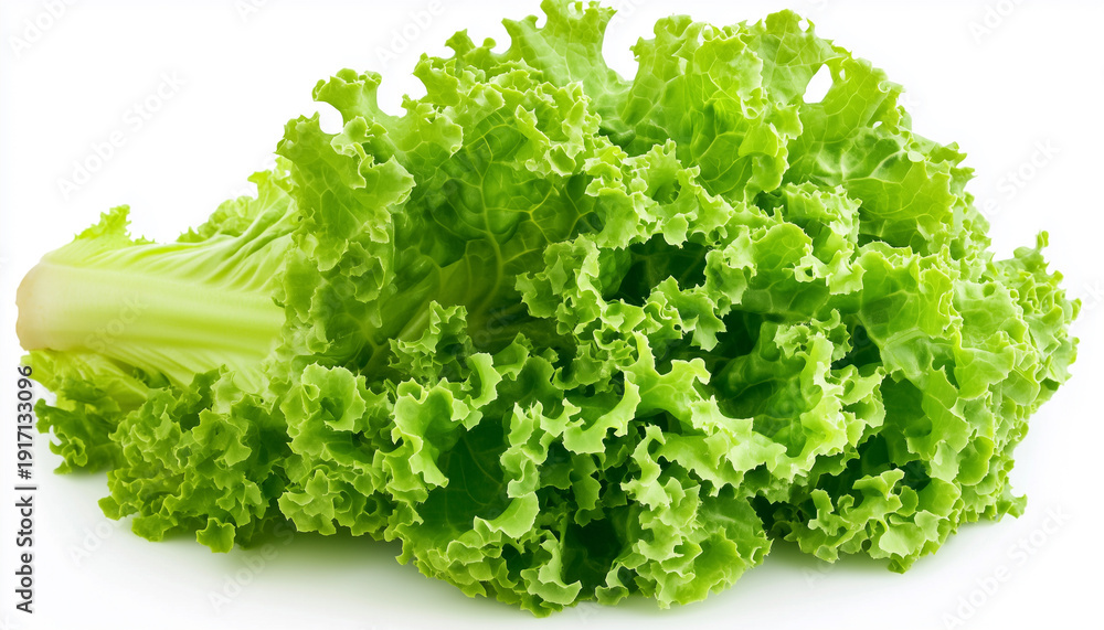 Obraz premium A single, vibrant green lettuce leaf is isolated on a white background. Its texture is crisp and the leaf is full and healthylooking, perfect for salads or as a garnish.