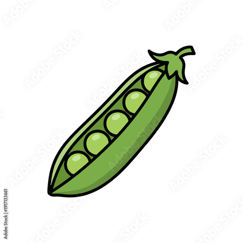 Green pea pod vegetable vector illustration showing peas inside for food icon.