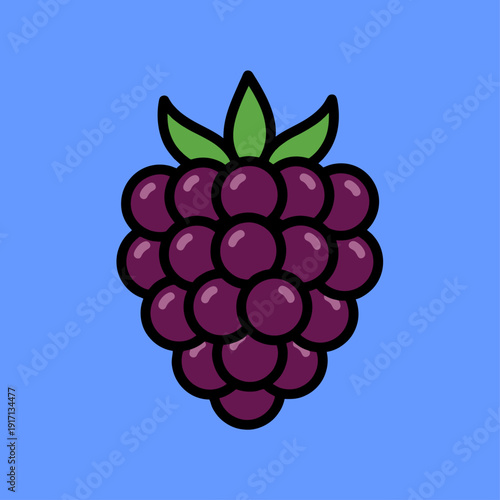 A cluster of ripe blackberries against a vibrant blue backdrop