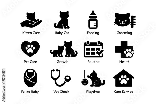Kitten care icons: feeding, grooming, health, playtime, vet check