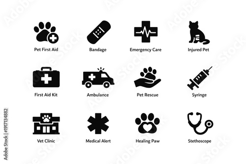 Pet emergency care icons: first aid, rescue, vet clinic, bandage, syringe