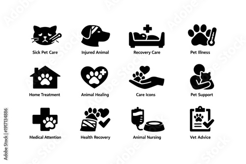 Sick and injured animal care icons: recovery, support, and veterinary attention