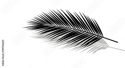A minimalist black and white illustration of a palm leaf with a subtle shadow on a clean white background