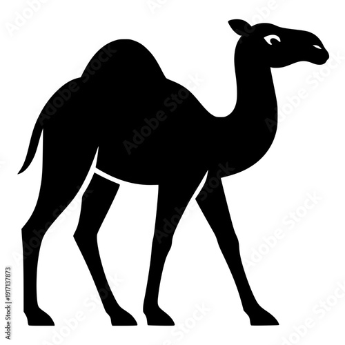 Minimalist Silhouette Camel Illustration