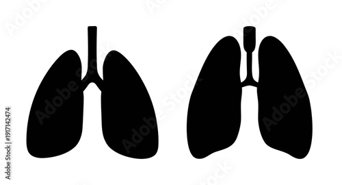 Human lungs anatomy diagram showing respiratory system health and pulmonary function illustration