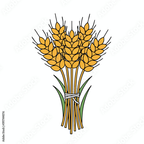 Fresh Harvested Wheat Bundle for Agriculture and Farming Themes