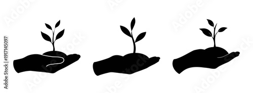 Stages of Plant Growth from Seed Germination to Young Seedling in Soil – Agricultural Development and Nature Growth Concept Illustration