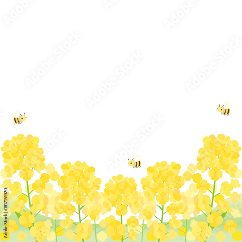 蜜蜂が飛んでいる菜の花畑をイメージしたイラスト　1：1バージョン
