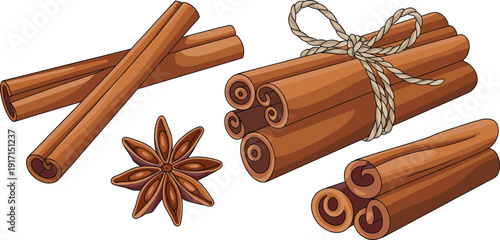 Cinnamon sticks and star anise spice vector illustration isolated on white background, aromatic seasoning ingredient for cooking and baking