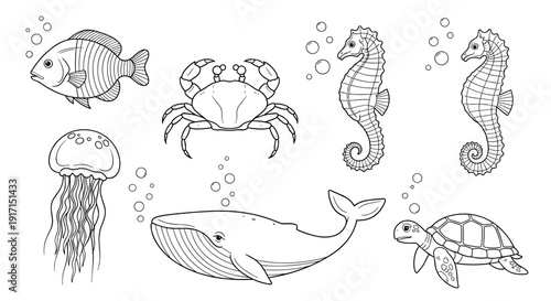 Black and white illustration of various sea creatures