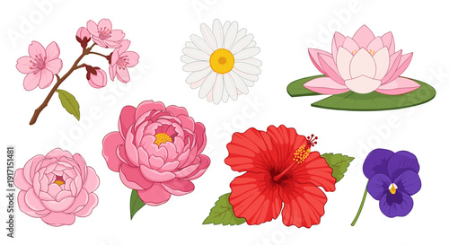 Colorful floral arrangement with various flowers