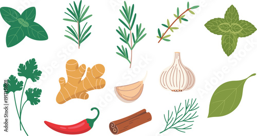 Herbs and spices vector collection with basil, rosemary, thyme, mint, ginger, garlic, chili and cinnamon isolated illustration set