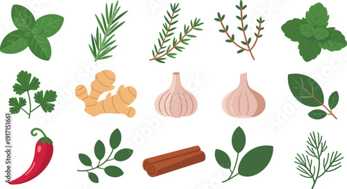 Herbs and spices vector set with basil, rosemary, thyme, mint, ginger, garlic, chili and cinnamon isolated illustration