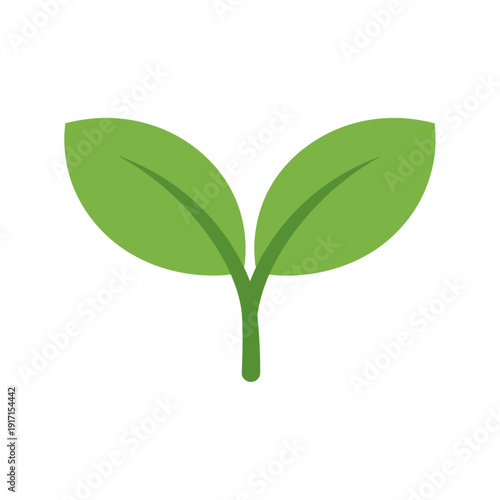 A simple green plant sprout with two leaves grows naturally in a clean environment.