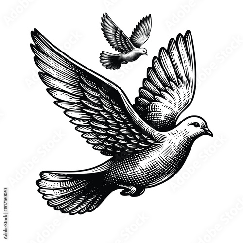 Black and White Bird Vector
