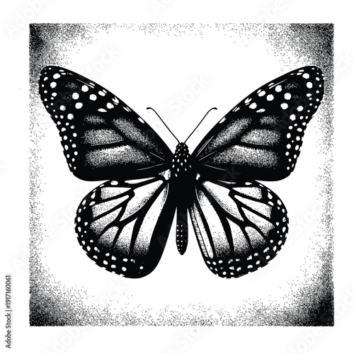 Monarch Butterfly Black and White Illustration