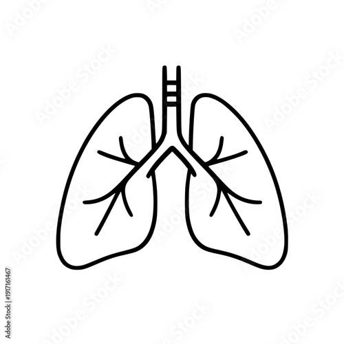 Human Lung Flat Icon For App And Website silhouette