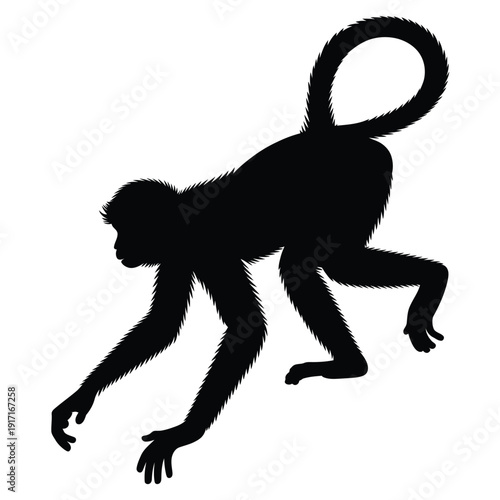 A stark silhouette of a monkey walking forward on its hands