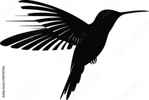 CAD drawing flat vector illustration, hummingbird silhouette in flight, nature bird design, black and white artwork, wildlife graphic element, elegant wing pose