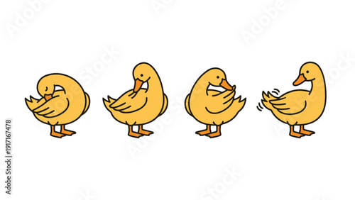 Cute Yellow Cartoon Duck Preening and Grooming Sequence Vector Illustration Set
